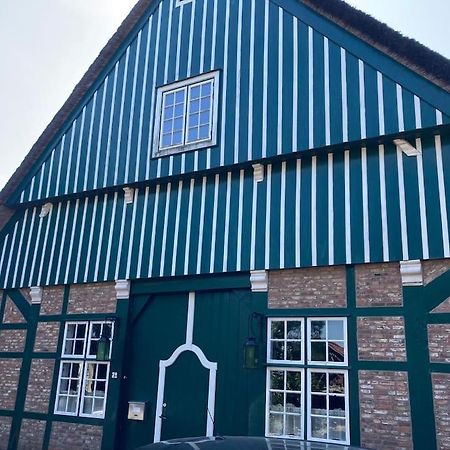 Idylle Unter Reet, Gemuetliche Ferienwohnug Lägenhet Haseldorf Exteriör bild